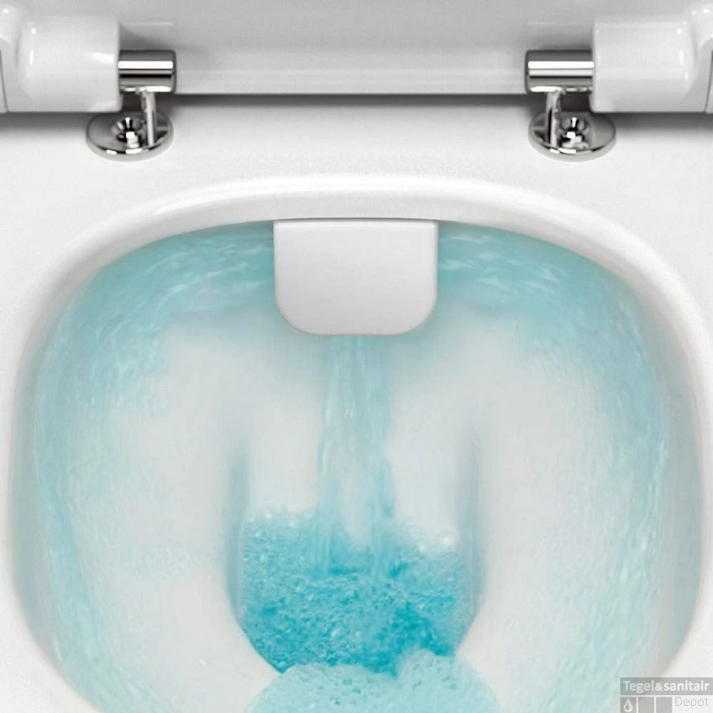 Grohe Rapid SL Toiletset Set15 B&W Zero Rim-ex Met Grohe Arena Of Skate Drukplaat 4 Grohe Rapid SL Toiletset Set15 B&W Zero Rim-ex Met Grohe Arena Of Skate Drukplaat - Afbeelding 4